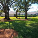 Northeast corner of the building with trees.